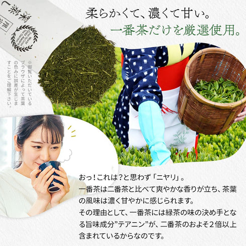 限量特蒸深蒸頭茶茶葉100g新茶2023